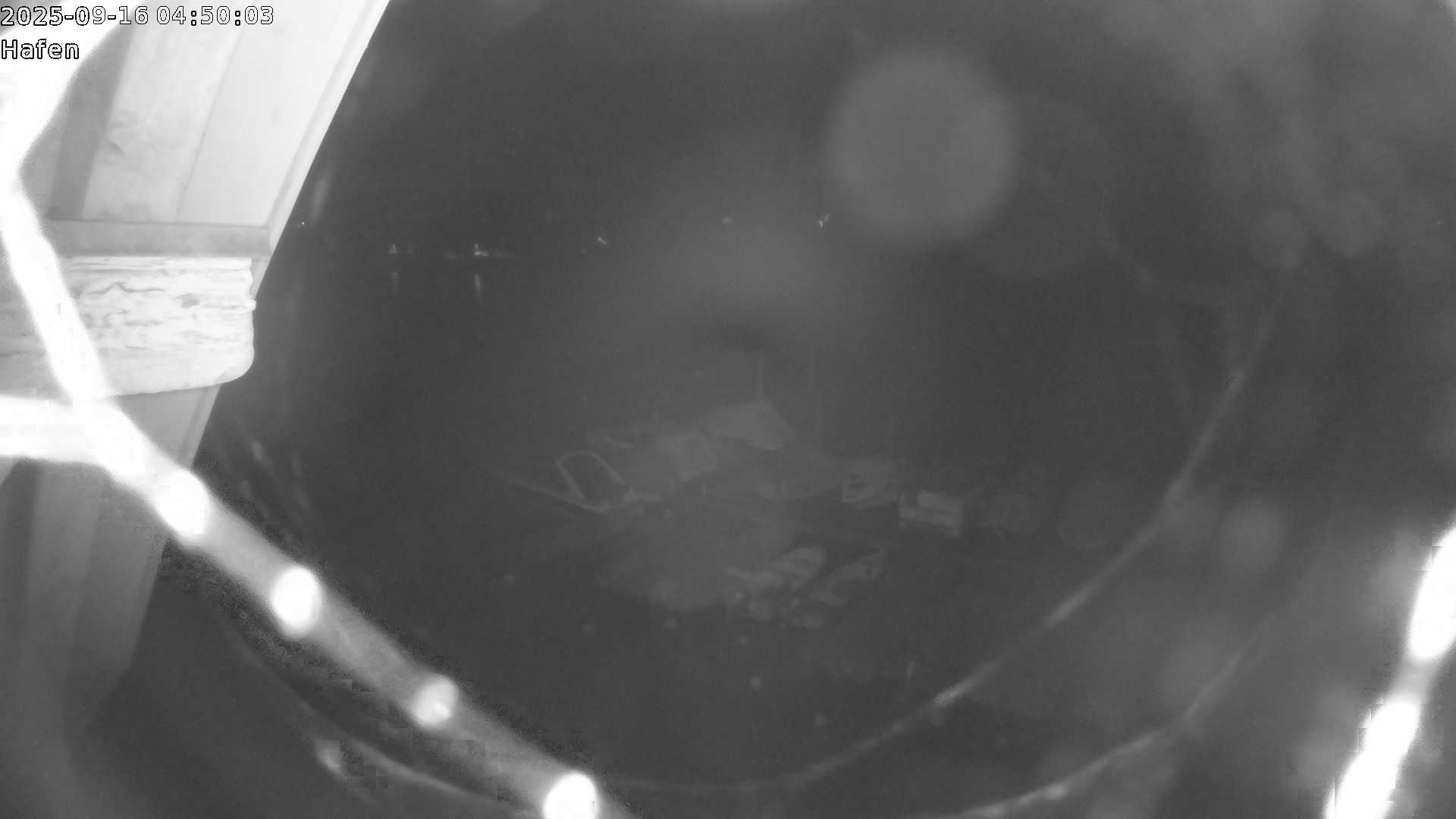 16.09.2025 04:50:04