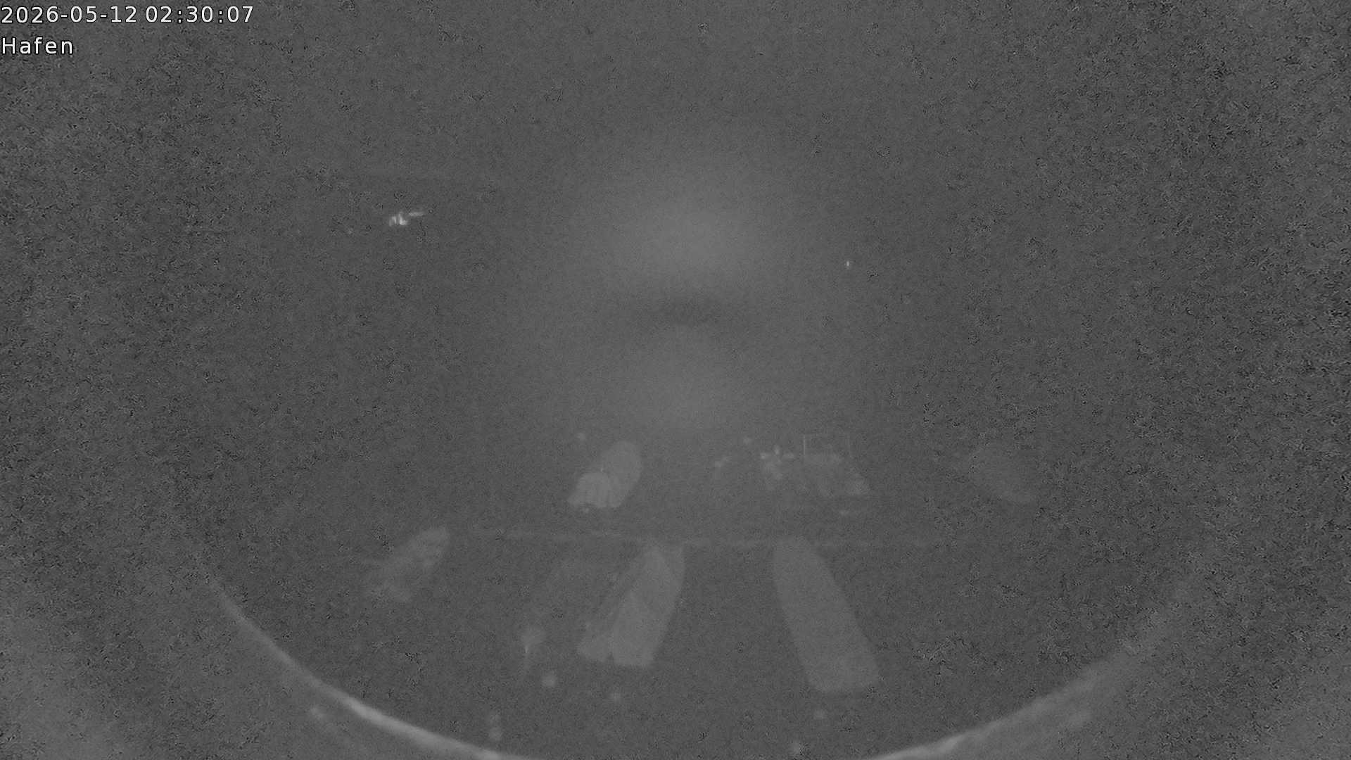 12.05.2026 02:29:04