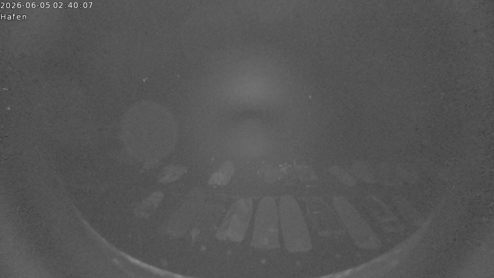 05.06.2026 02:39:01